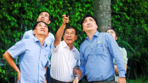 TP.HCM tổng 'khám sức khỏe' cây lâu năm- Ảnh 2. Tiến sĩ Đinh Quang Diệp (giữa) và ông Lê Công Phương, giám đốc Công ty TNHH MTV Công viên cây xanh TP.HCM, quan sát đánh giá các cây lâu năm tại công viên Tao Đàn - Ảnh: LÊ PHAN