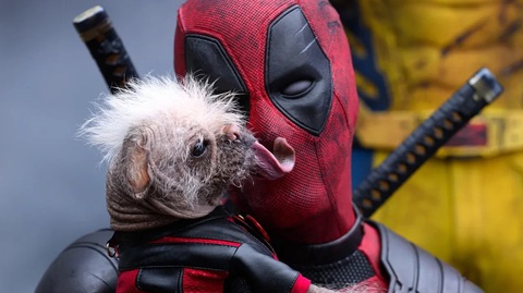 Dogpool - một trong những nhân vật gây phấn khích cho người xem trong bom tấn Deadpool & Wolverine 'Deadpool & Wolverine' chọn ảnh hài hước thông báo gia nhập 'câu lạc bộ tỉ đô'- Ảnh 4.