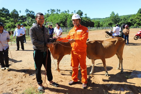 Thủy điện Sông Tranh trao nhà tình nghĩa cho hộ nghèo vùng lòng hồ- Ảnh 3. Công ty thủy điện Sông Tranh là một doanh nghiệp làm tốt công tác an sinh xã hội tại địa phương. Trong ảnh là buổi trao tặng bò giống cho người dân vùng lòng hồ thủy điện - Ảnh: THANH THIÊN
