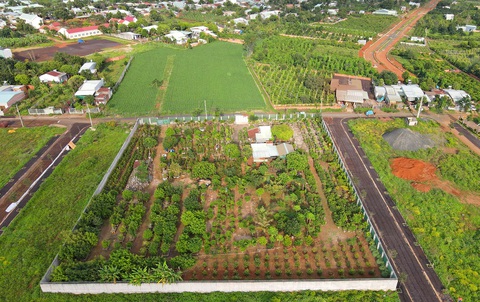 Đấu giá lô đất 4,2 tỉ đồng, khai giá chuyển nhượng 50 triệu- Ảnh 1. Dự án khu quy hoạch trung tâm hành chính và khu đô thị sinh thái phía Đông thị trấn Chư Sê - nơi xảy ra sai phạm điển hình khi đấu giá đất - Ảnh: K.L.
