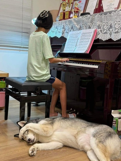 Ảnh vui 14-8: 'Labubu đời đầu' ám ảnh nhiều thế hệ- Ảnh 5. Đến giờ nó