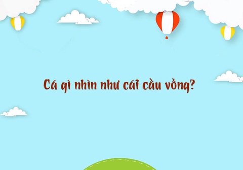 Cá gì biết nấu ăn?- Ảnh 3. Cá gì biết nấu ăn?- Ảnh 3.