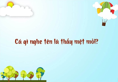 Cá gì biết nấu ăn?- Ảnh 5. Cá gì biết nấu ăn?- Ảnh 5.