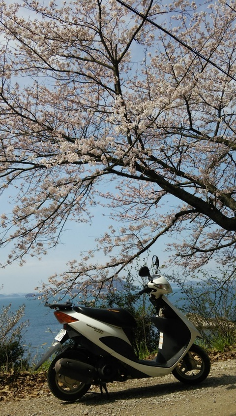 Sau Honda, thêm Suzuki ngừng sản xuất xe 50cc- Ảnh 3. Cuộc chuyển mình này không chỉ phản ánh sự thay đổi trong nhu cầu thị trường mà còn là sự chuyển hướng trong chính sách môi trường của Chính phủ Nhật Bản. Trong bối cảnh đó, các nhà sản xuất sẽ phải tìm ra cách để thích ứng với các quy định mới, đồng thời khai thác các cơ hội từ nhu cầu xe điện đang gia tăng - Ảnh: A31_risingsun/X