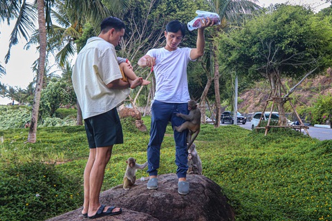 Nhiều du khách đứng ngồi không yên vì bị khỉ 