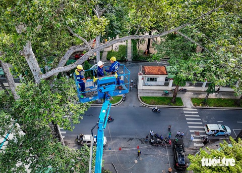 TP.HCM phát hiện khiếm khuyết cây xanh chủ yếu bằng kinh nghiệm quan sát- Ảnh 1. Xe nâng 40m đưa công nhân công viên cây xanh lên cao để kiểm tra, cắt tỉa cây ở công viên Tao Đàn (quận 1, TP.HCM) - Ảnh: CHÂU TUẤN