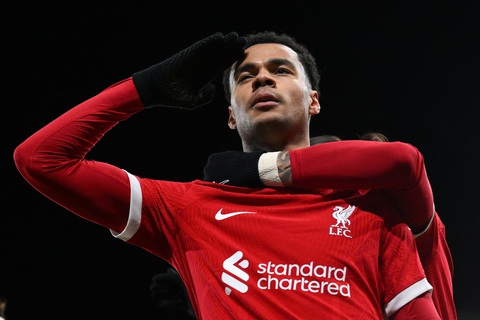 Những ngôi sao được kỳ vọng tỏa sáng ở Premier League 2024-2025- Ảnh 1. Những ngôi sao được kỳ vọng tỏa sáng ở Premier League 2024-2025- Ảnh 1.