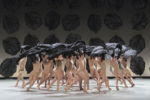 Thierry Malandain, biên đạo múa 'điên rồ và hấp dẫn' mang ballet The seasons sang Hà Nội- Ảnh 3. Thierry Malandain, biên đạo múa 'điên rồ và hấp dẫn' mang ballet The seasons sang Hà Nội- Ảnh 3.