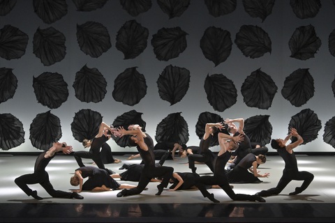 Thierry Malandain, biên đạo múa 'điên rồ và hấp dẫn' mang ballet The seasons sang Hà Nội- Ảnh 1. The seasons có thời lượng khoảng 60 phút - Ảnh: BTC