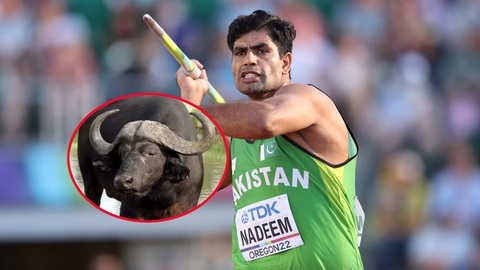 Vận động viên Pakistan được bố vợ tặng trâu sau khi giành HCV Olympic 2024- Ảnh 1. Chú trâu là phần thưởng vinh dự cho nhà vô địch Olympic người Pakistan Arshad Nadeem - Ảnh: Getty
