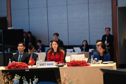 Việt Nam muốn đẩy mạnh hợp tác nguồn nước, dữ liệu thủy văn sông Mekong - Lan Thương- Ảnh 2. Thứ trưởng Ngoại giao Nguyễn Minh Hằng (giữa) tại hội nghị ở Thái Lan ngày 16-8 - Ảnh: Bộ Ngoại giao cung cấp