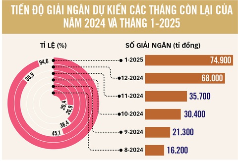 Đầu tư công ở TP.HCM: Chia rõ việc để 'chạy' nhanh hơn - Ảnh 3. Đầu tư công ở TP.HCM: Chia rõ việc để 'chạy' nhanh hơn- Ảnh 3.