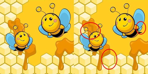Con thỏ trốn ở đâu trong bức tranh?- Ảnh 6.
