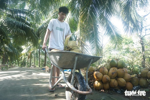 Vào đại học từ chòi canh dừa và tình thương của nội - Ảnh 1. Khoe kết quả trúng tuyển trước bàn thờ cha mẹ - Ảnh 4.