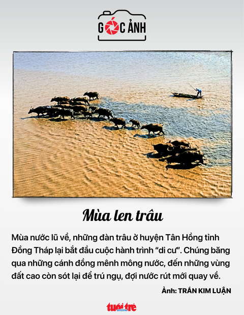 Tin tức sáng: Ủy ban Thường vụ Quốc hội họp 4 ngày; Sẽ có nhiều mức đóng, hưởng bảo hiểm y tế- Ảnh 6. Tin tức sáng: Ủy ban Thường vụ Quốc hội họp 4 ngày; Sẽ có nhiều mức đóng, hưởng bảo hiểm y tế- Ảnh 6.