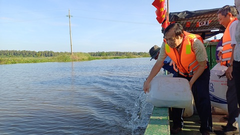 An Giang thả cá trên 230.000 cá giống tái tạo nguồn lợi thủy sản- Ảnh 1. An Giang thả trên 230.000 cá giống tái tạo nguồn lợi thủy sản - Ảnh 1.