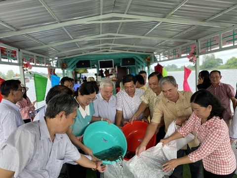 An Giang thả cá trên 230.000 cá giống tái tạo nguồn lợi thủy sản- Ảnh 4. An Giang thả trên 230.000 cá giống tái tạo nguồn lợi thủy sản - Ảnh 4.