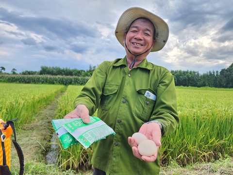 Ông Ba Tri mê trồng lúa sạch - Ảnh 2. Ông Ba Tri mê trồng lúa sạch - Ảnh 2.