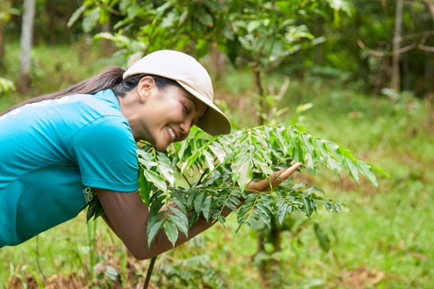 H'Hen Niê nói chuyện với cây rừng, lan tỏa tình yêu thiên nhiên - Ảnh 4.