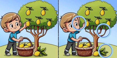 Thử tài tinh mắt: Người câu cá thứ hai đang ở đâu? - Ảnh 1.