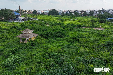 Khu đất tại nghĩa trang Bình Hưng Hòa sẽ xây trường học, giờ ra sao?- Ảnh 2. Quận Bình Tân dự kiến xây dựng một trường tiểu học với quy mô 30 phòng và một trường cấp 2 với 41 phòng học