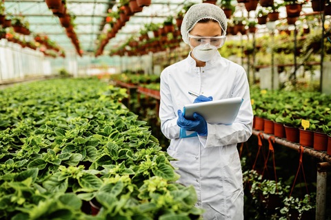 Ngành công nghệ thực phẩm: Mức lương khởi điểm 10 triệu đồng- Ảnh 2. Top các trường đào tạo ngành công nghệ thực phẩm uy tín - Ảnh: Freepik