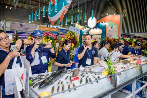 Vietfish 2024 hứa hẹn những điều thú vị và mới mẻ- Ảnh 4. Vietfish 2024 hứa hẹn những điều thú vị và mới mẻ- Ảnh 4.