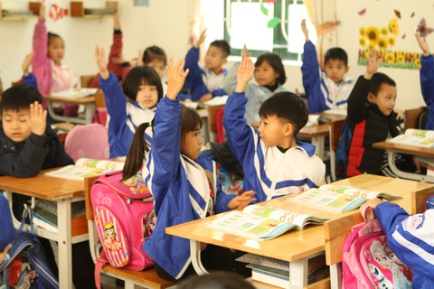 Năm học mới, không để học sinh tiểu học 'ngồi nhầm lớp'- Ảnh 1. Học sinh tiểu học được tăng cường tương tác trong giờ học theo chương trình giáo dục phổ thông 2018 - Ảnh: VĨNH HÀ
