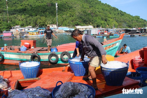 Thành lập Tổ điều tra xác minh tàu cá vi phạm mất kết nối trên biển Kiên Giang- Ảnh 2. Thành lập Tổ điều tra xác minh tàu cá vi phạm mất kết nối trên biển Kiên Giang- Ảnh 2.