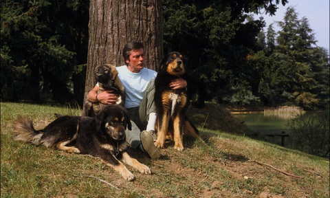 Tranh cãi chuyện Alain Delon muốn tiêm thuốc an tử và chôn cất chó cưng theo cùng- Ảnh 3. Tranh cãi chuyện Alain Delon muốn tiêm thuốc an tử và chôn cất chó cưng theo cùng- Ảnh 3.