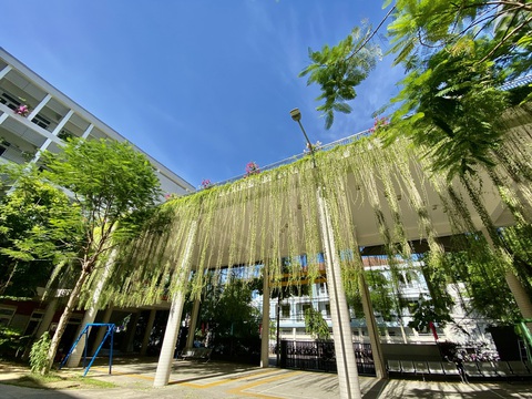 Trường học thành điểm nhấn cảnh quan - Ảnh 3. Trường học thành điểm nhấn cảnh quan - Ảnh 3.