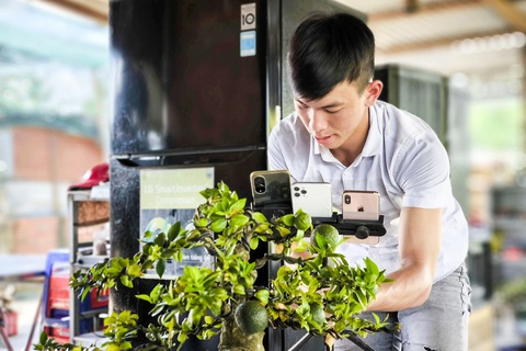 Nhà vườn Bến Tre làm livestream tự bán hàng, không lệ thuộc vào thương lái - Ảnh 1. Nhà vườn Bến Tre làm livestream tự bán hàng, không lệ thuộc vào thương lái - Ảnh 2.