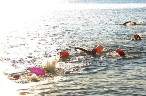 Hơn 500 vận động viên tranh tài tại giải bơi biển trên vịnh Nha Trang - Ảnh 3. Hơn 500 vận động viên tranh tài tại giải bơi biển trên vịnh Nha Trang - Ảnh 5.