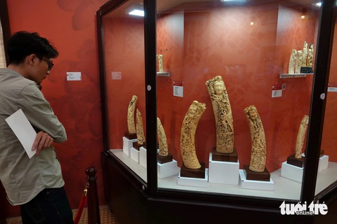 Khám phá kho báu trên những con tàu đắm ở biển Đông tại Bảo tàng Lịch sử TP.HCM - Ảnh 4. Khám phá kho báu trên những con tàu đắm ở biển Đông - Ảnh 4.