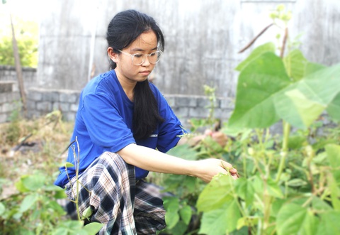 Thay bố mẹ làm đồng, chăm sóc nhà cửa, vẫn học giỏi nức tiếng - Ảnh 3. Chăm em và chăm mẹ điều trị tâm thần, nữ sinh đậu vào Đại học Ngoại thương không có tiền đi học - Ảnh 4.