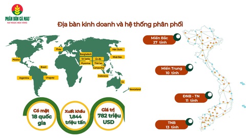 Phân bón Cà Mau vững bước vươn ra biển lớn - Ảnh 3.