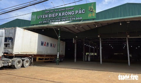 Đoàn thanh tra phát hiện cơ sở kinh doanh sầu riêng Uyên Điệp Doanh nghiệp sầu riêng Đắk Lắk 'dán nhầm' mã đóng gói ở TP.HCM để... xuất khẩu- Ảnh 2.
