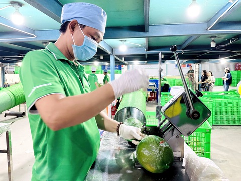 Nông sản xuất khẩu lại bùng nổ, nhiều mặt hàng giá tăng hơn mong đợi- Ảnh 4. Nông sản xuất khẩu lại bùng nổ, nhiều mặt hàng giá tăng hơn mong đợi- Ảnh 4.