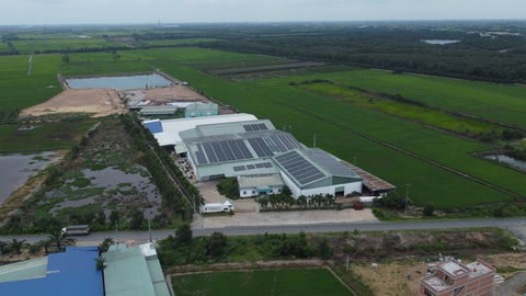 Khởi tố giám đốc công ty gây ô nhiễm vùng giáp ranh Long An, Tiền Giang- Ảnh 1. Nhà máy của Công ty TNHH An Hưng Nông gây ô nhiễm môi trường - Ảnh: SƠN LÂM
