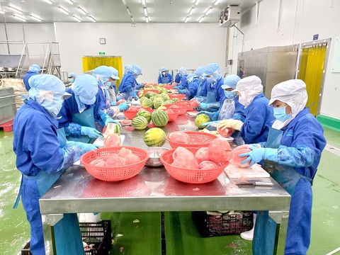 Nông sản xuất khẩu lại bùng nổ, nhiều mặt hàng giá tăng hơn mong đợi- Ảnh 1. Nông sản xuất khẩu lại bùng nổ, nhiều mặt hàng giá tăng hơn mong đợi- Ảnh 1.