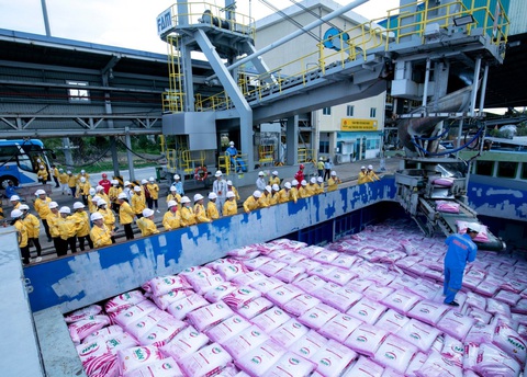 Phân bón Cà Mau thắng lớn 6 tháng đầu năm nhờ đâu?- Ảnh 2. Hàng ngàn hộ nông được tân mắt chứng kiến quy trình sản xuất hiện đại của Phân bón Cà Mau