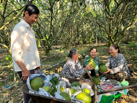 Phân bón Cà Mau thắng lớn 6 tháng đầu năm nhờ đâu?- Ảnh 3. Phân bón Cà Mau đồng hành cùng bà con mang lại những vụ mùa thắng lớn