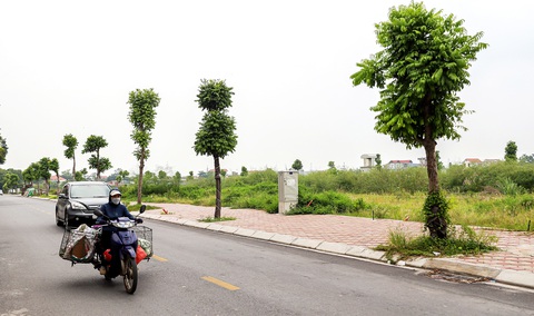 'Thuốc' trị đầu cơ: ai cũng biết, nhưng bao giờ? - Ảnh 1. 'Thuốc' trị đầu cơ: ai cũng biết, nhưng bao giờ? - Ảnh 1.