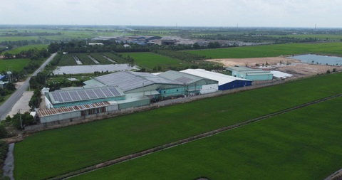 Nhiều vùng đất ô nhiễm cadimi, Long An cảnh báo- Ảnh 1. Khu vực ruộng đất quanh nhà máy Công ty TNHH An Hưng Nông (xã Tân Đông, huyện Thạnh Hóa) bị ô nhiễm do nhà máy xả thải - Ảnh: SƠN LÂM