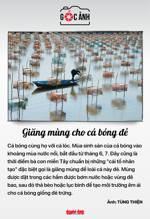 Tin tức sáng 5-8: Doanh nghiệp huy động hàng trăm tỉ đồng trái phiếu lãi suất 0%- Ảnh 7. Tin tức sáng 5-8: Doanh nghiệp huy động hàng trăm tỉ đồng trái phiếu lãi suất 0%- Ảnh 7.