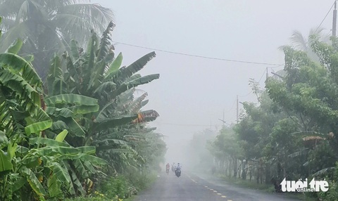 Sương mù dày đặc bao phủ miền Tây- Ảnh 4. Dọc các con đường ở huyện Châu Thành, tỉnh Bến Tre, sương mù xuất hiện dày đặc che khuất tầm nhìn của người đi đường - Ảnh: MẬU TRƯỜNG
