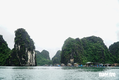 Những ngôi nhà bè nhỏ xinh nằm san sát nhau, tựa mình vào vách đá - Ảnh: NGUYỄN HIỀN Chèo thuyền kayak ngắm làng chài Vung Viêng, trải nghiệm vịnh thiên đường Hạ Long- Ảnh 3.