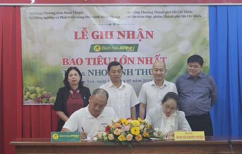 Bình Thuận, Ninh Thuận hứa tăng chất lượng thanh long, nho, táo... bán vào TP.HCM- Ảnh 2. Mới đây, tại Ninh Thuận, một số nhà cung cấp sản phẩm nho, táo đã ký kết với hệ thống phân phối về việc tiêu thụ, nâng cao chất lượng sản phẩm - Ảnh: N.T.