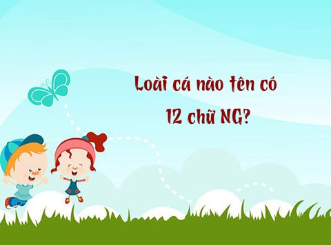 Loài cá nào tên có 12 chữ NG?- Ảnh 1. Loài cá nào tên có 12 chữ NG?- Ảnh 1.