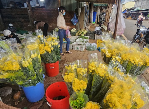 Rằm tháng 7: Dự báo hoa cúc dồi dào, trái cây nhiều loại có thể bị thiếu hụt- Ảnh 1. Bước vào tháng 7 âm lịch, giá hoa cúc vẫn đang tương đối ổn định - Ảnh: N.TRÍ